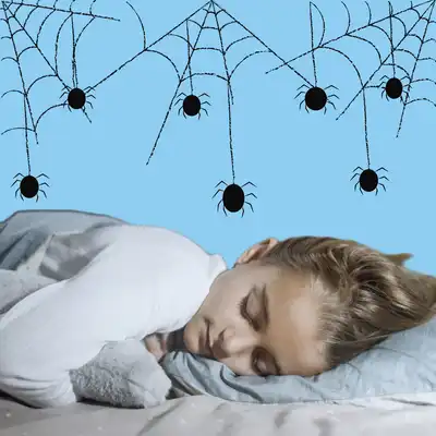 Spiders and humans have very similar sleeping patterns. © Sunaina Rao